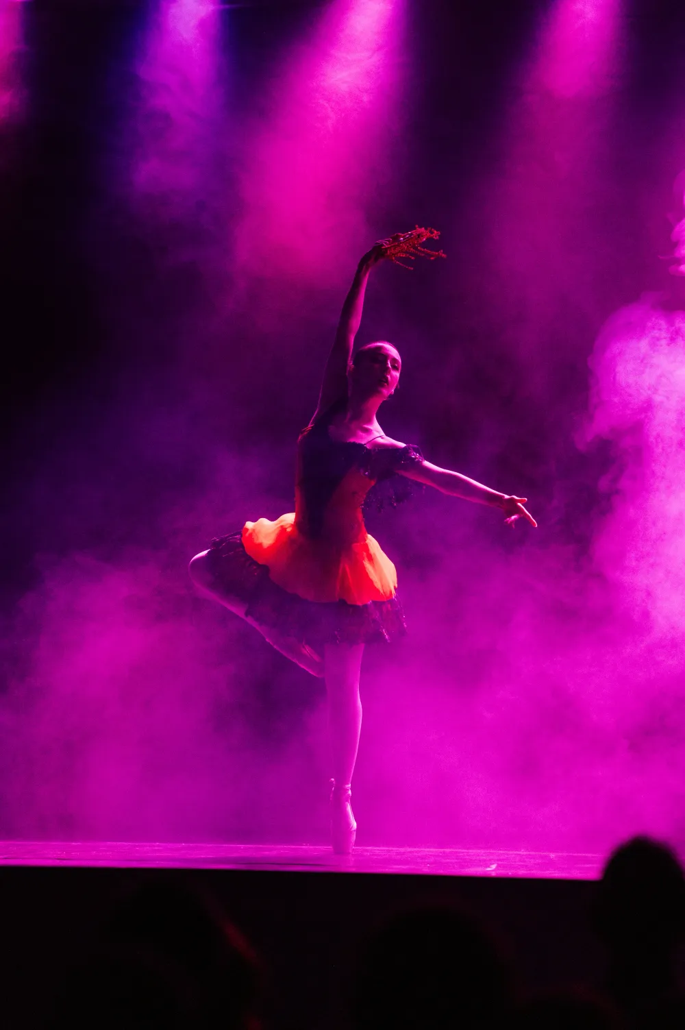 Camille Netto — foto 7 da galeria